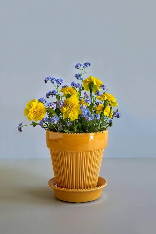 Miniatyrbild 2