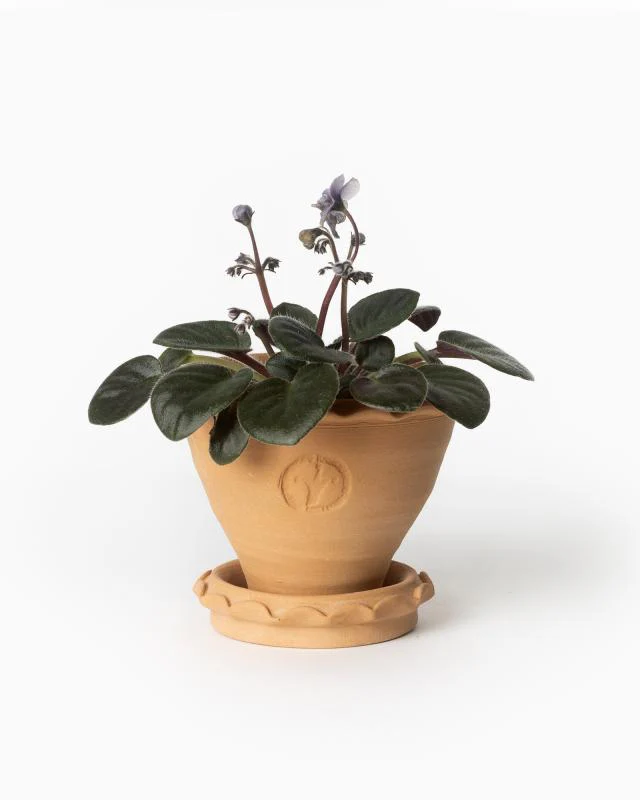 Kruka Sturehof - Adelcrantz 11 cm - Image 3