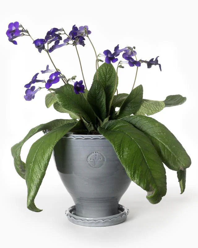 Kruka Sturehof - Adelcrantz, 24 cm grå - Image 2