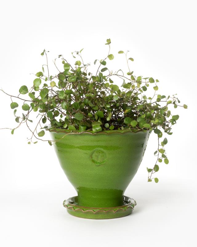 Kruka Sturehof - Adelcrantz, 17 cm grön - Image 4
