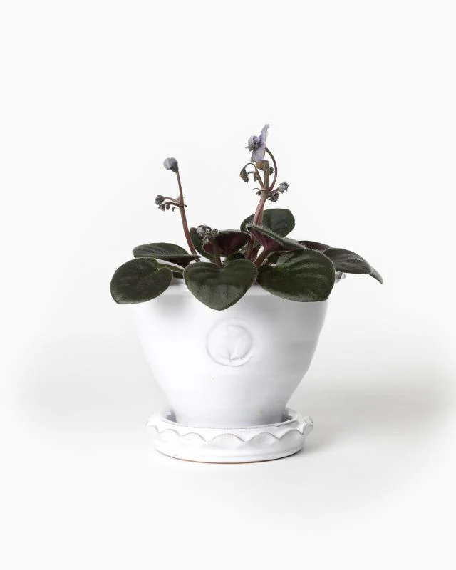 Kruka Sturehof - Adelcrantz, 11 cm vit - Image 2
