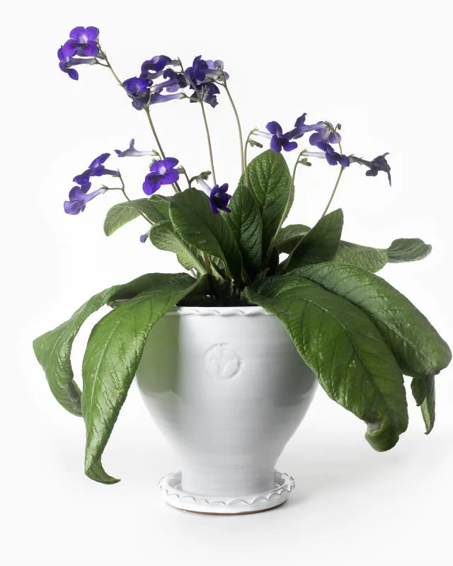 Kruka Sturehof - Adelcrantz, 24 cm vit - Image 2