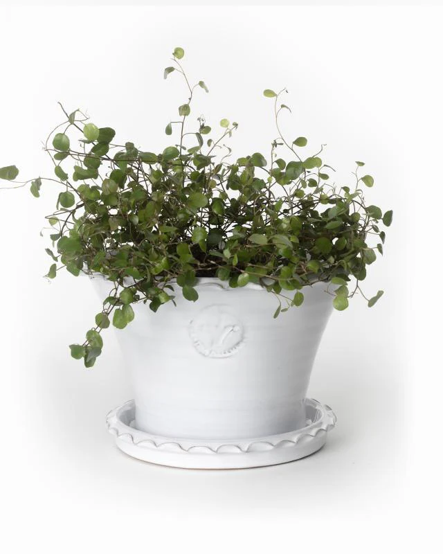 Kruka Sturehof - Liljencrantz, 20 cm vit - Image 2