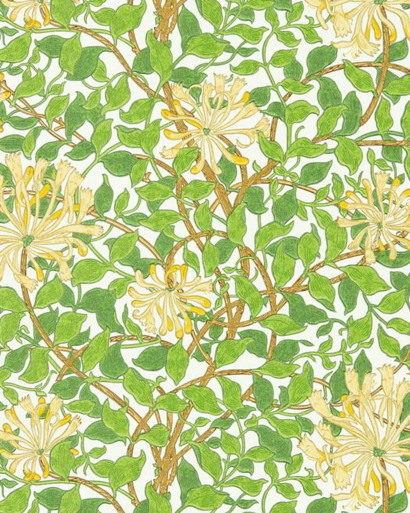 William Morris & Co. Tapet - Honeysuckle cream/chocolate